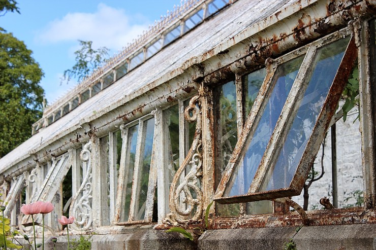 Painted Lady, Farmleigh House, Dublin
