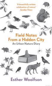 field notes hidden city